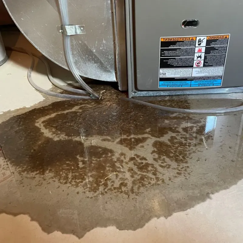 Pipe Burst and Leak Restoration in Boonsboro, MD